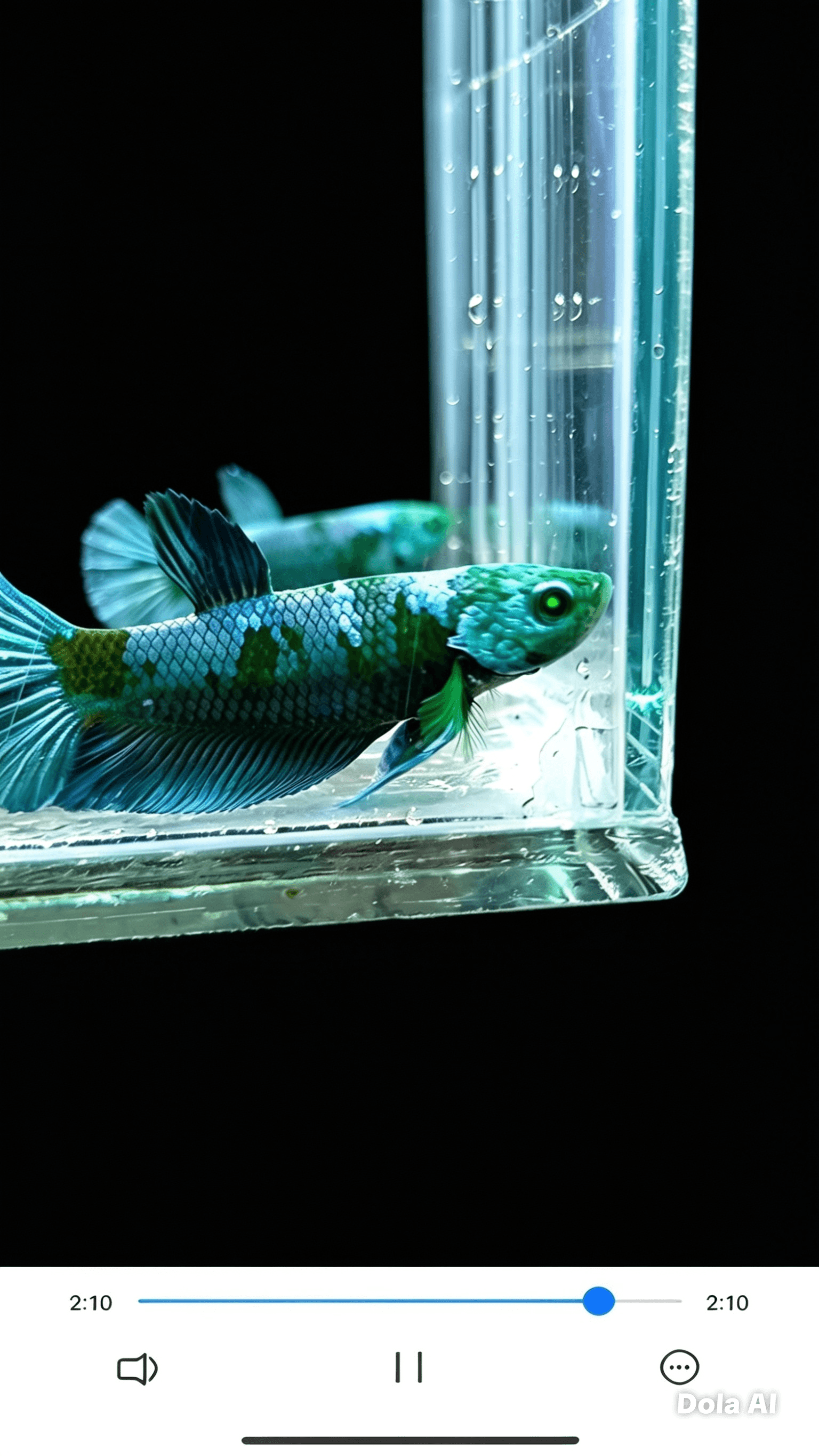 Emerald eyed phantom avatar blue, blue, black - Gambar 2