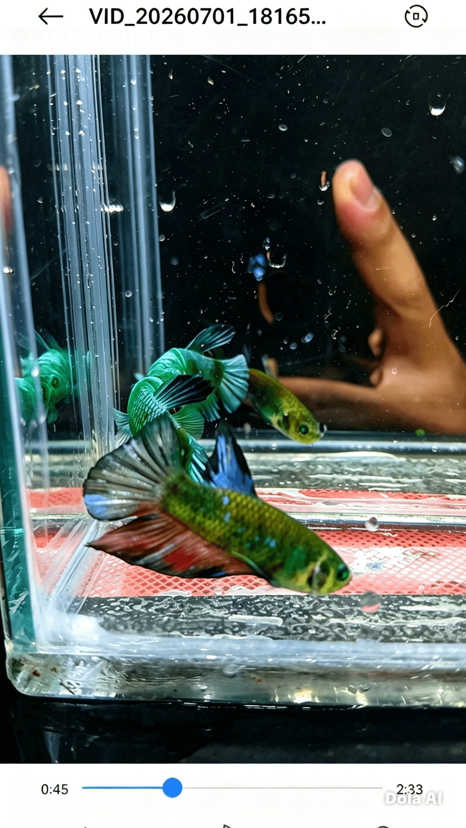 Emerald eyed phantom avatar blue, blue, black - Gambar 3